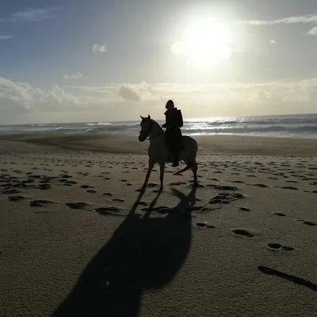 펜션 Casa Da Paraventa