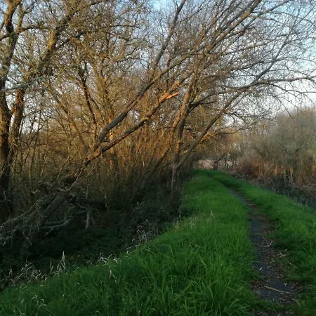 Casa Da Paraventa 펜션 *