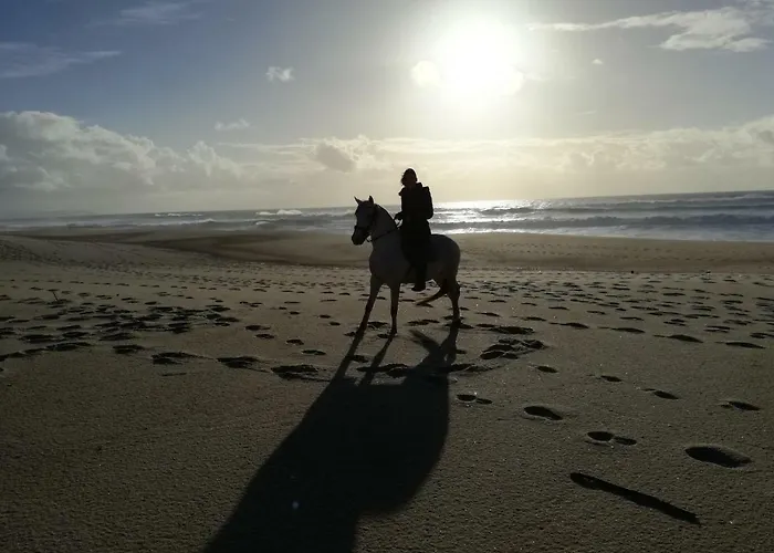 Σπίτι διακοπών Casa Da Paraventa